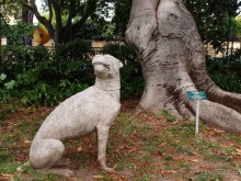 Заморские радости