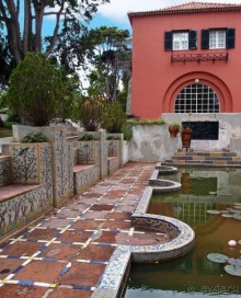 Заморские радости