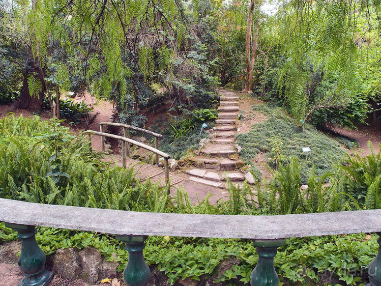 Заморские радости