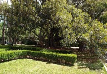 Заморские радости