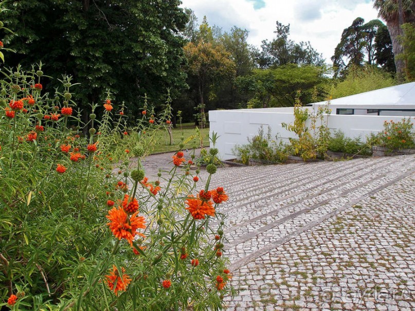 Заморские радости