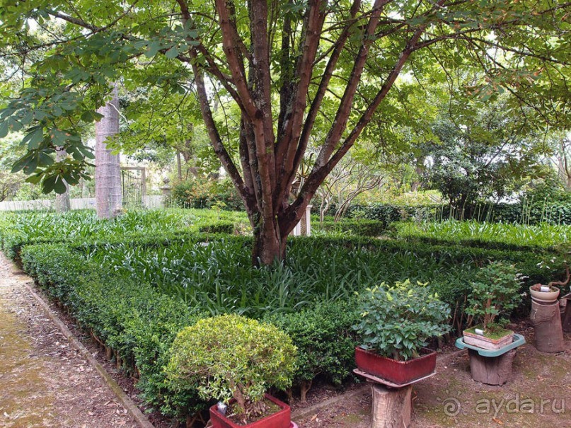 Заморские радости