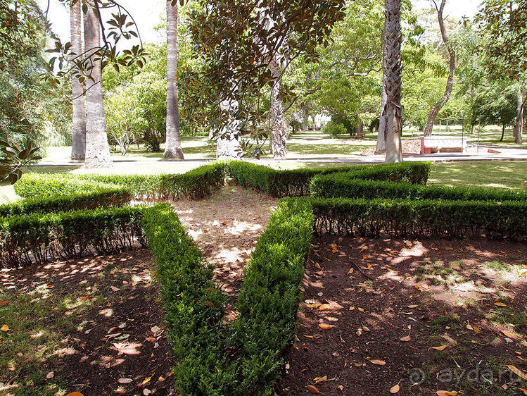 Заморские радости