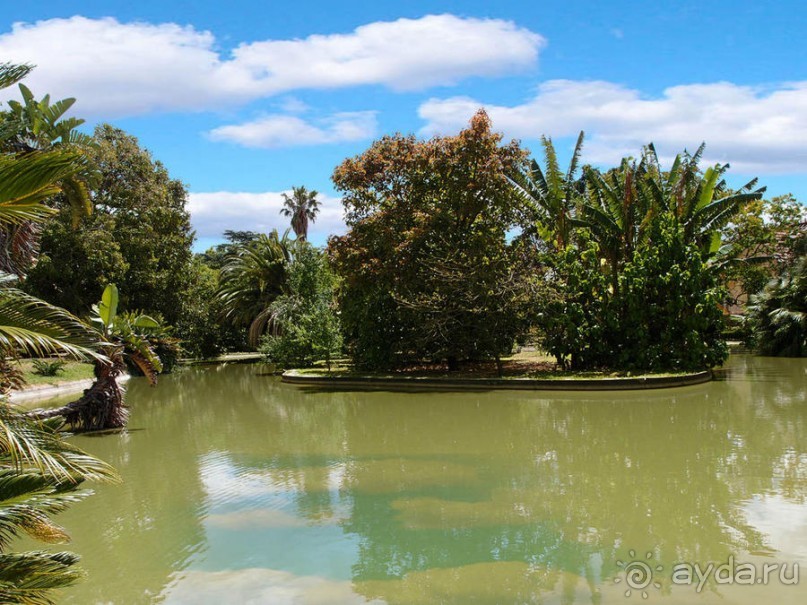 Заморские радости