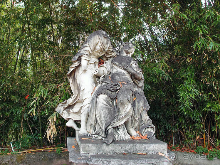 Заморские радости