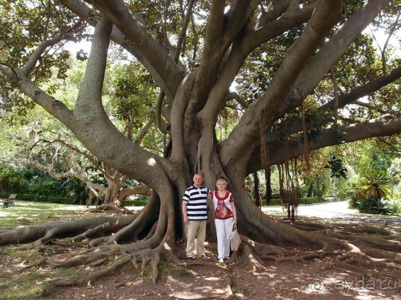 Заморские радости