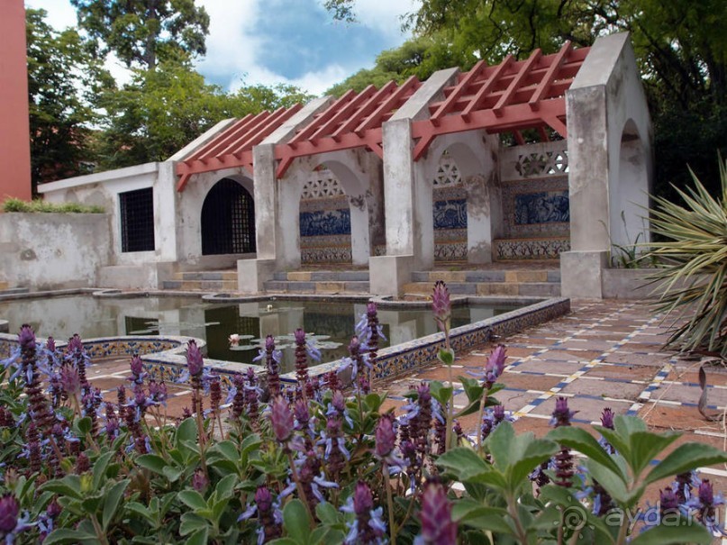 Заморские радости