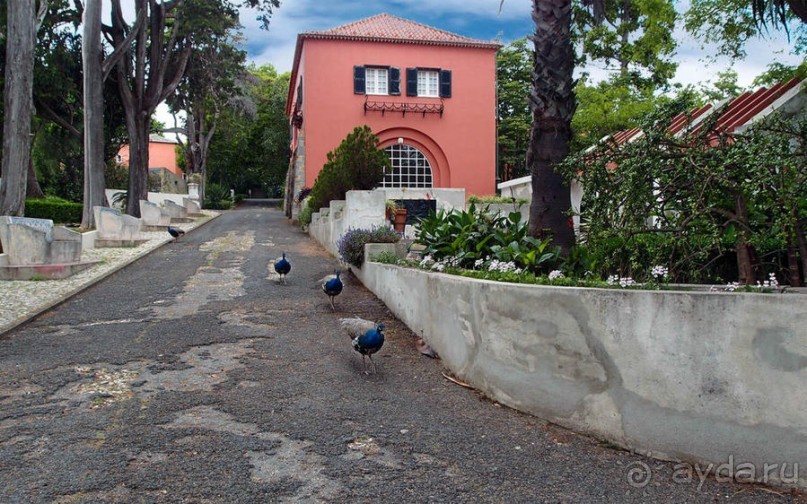 Заморские радости