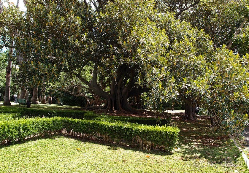 Заморские радости