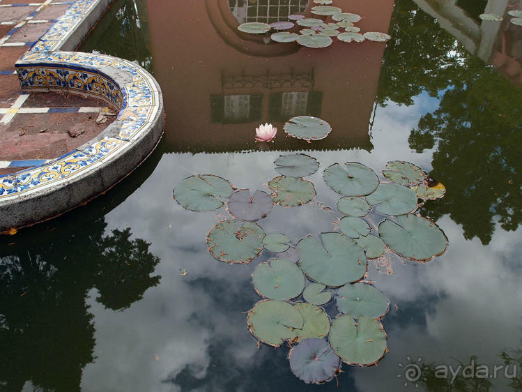 Заморские радости