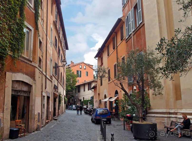 Рафаэль и Фарнезина