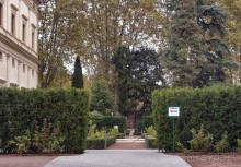 Рафаэль и Фарнезина