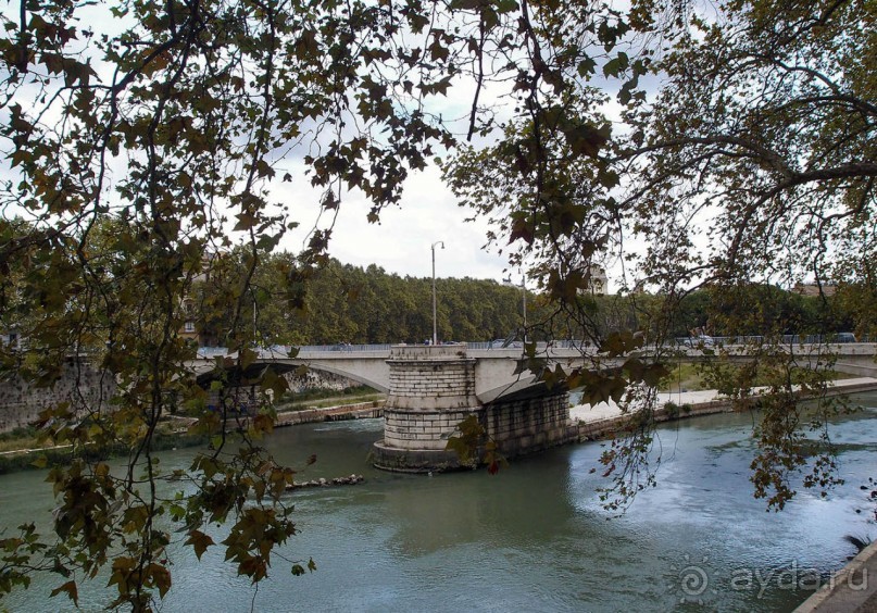 Рафаэль и Фарнезина