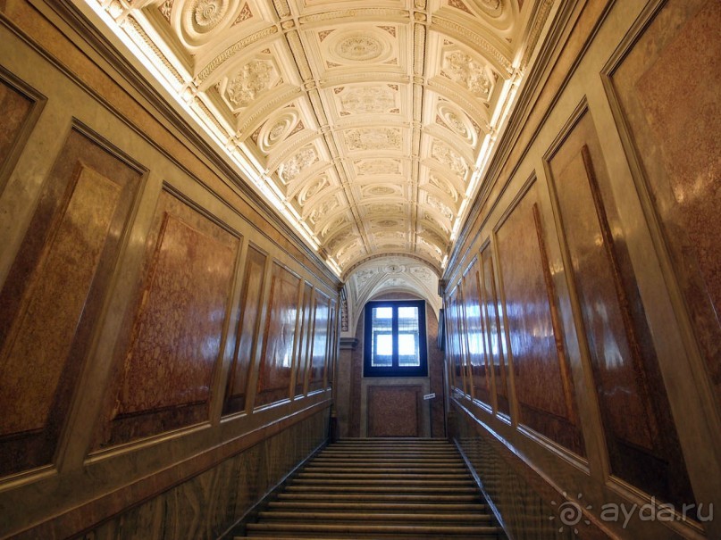 Рафаэль и Фарнезина