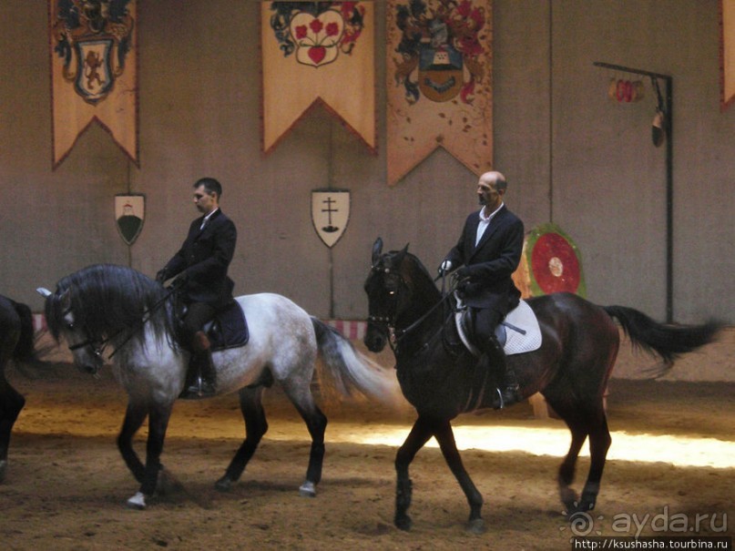 Средневековая чарда и рыцарский турнир в Шюмег