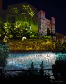 Альбом отзыва "Ночная мистерия"