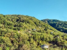 От Жинвали до Сурами