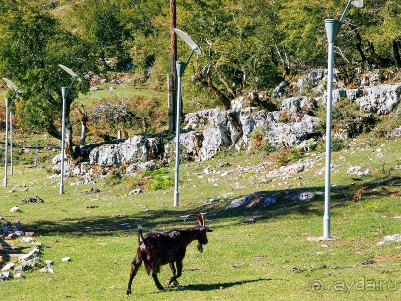 От Жинвали до Сурами
