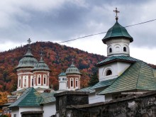 Синая жёлтая, красная, зелёная