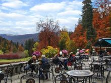 Синая жёлтая, красная, зелёная