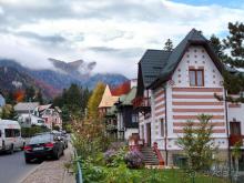 Синая жёлтая, красная, зелёная