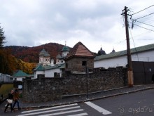 Синая жёлтая, красная, зелёная