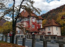 Синая жёлтая, красная, зелёная