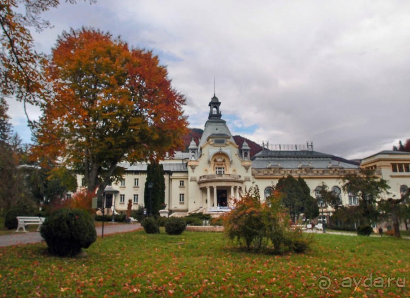 Синая жёлтая, красная, зелёная