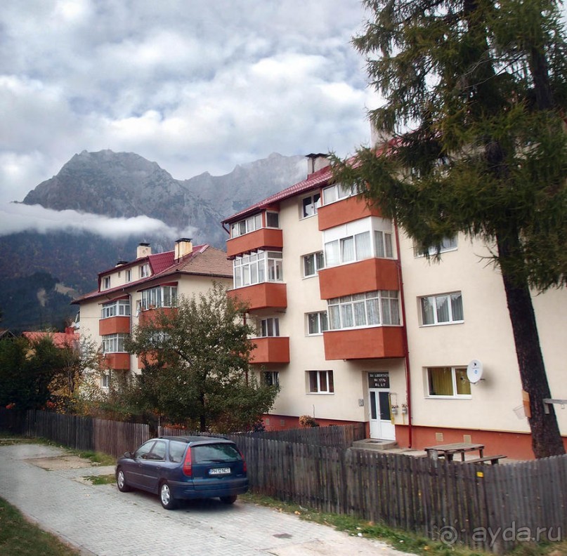 Синая жёлтая, красная, зелёная