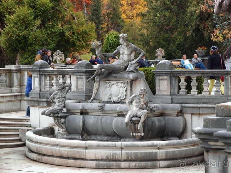 Синая жёлтая, красная, зелёная