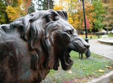 Синая жёлтая, красная, зелёная