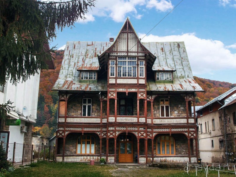 Синая жёлтая, красная, зелёная