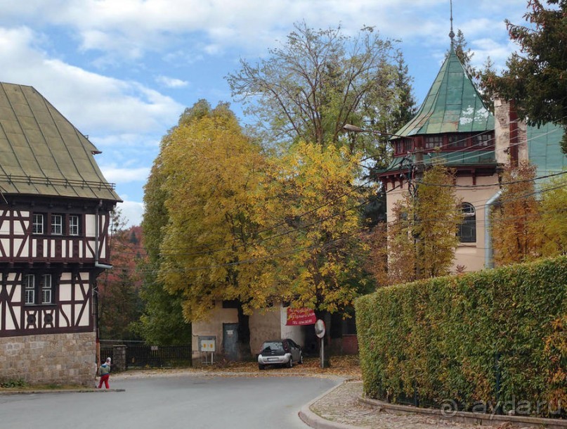 Синая жёлтая, красная, зелёная