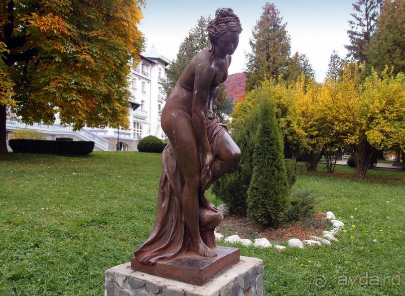 Синая жёлтая, красная, зелёная