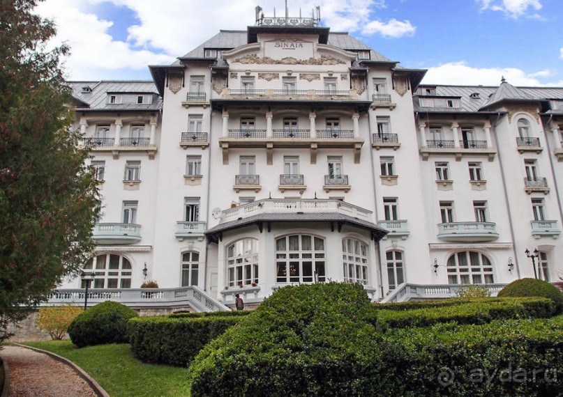 Синая жёлтая, красная, зелёная