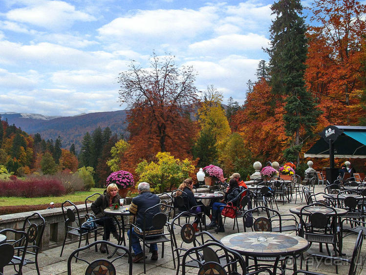 Синая жёлтая, красная, зелёная