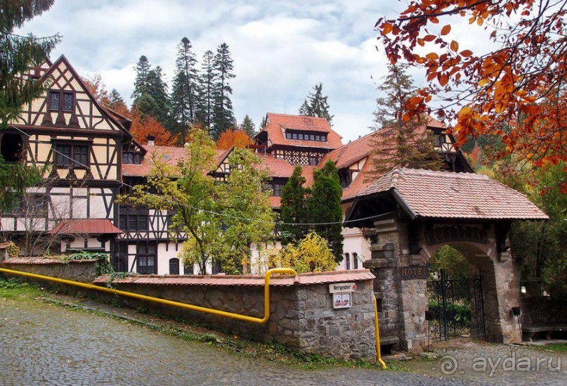 Синая жёлтая, красная, зелёная