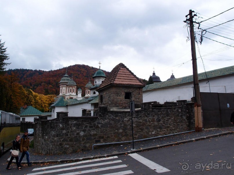 Синая жёлтая, красная, зелёная