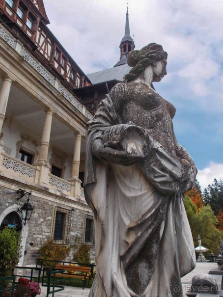 Синая жёлтая, красная, зелёная