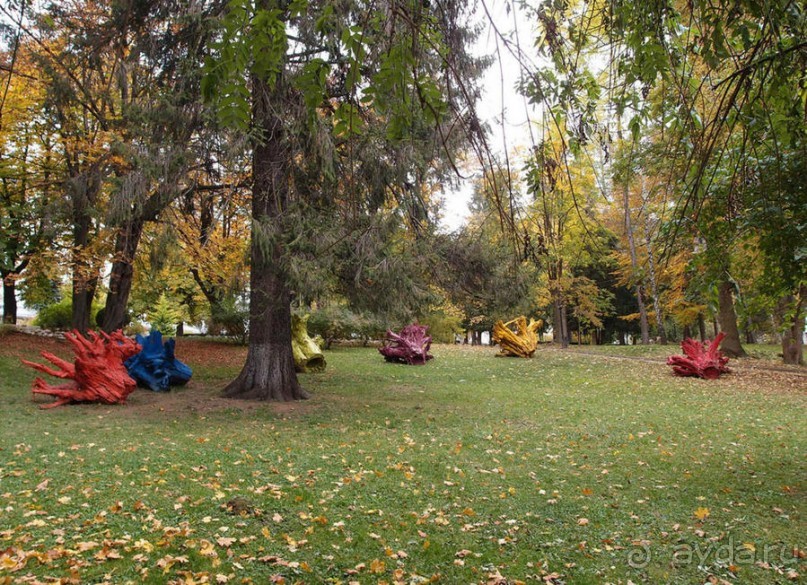 Синая жёлтая, красная, зелёная