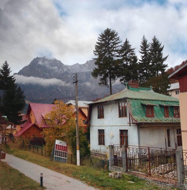 Синая жёлтая, красная, зелёная