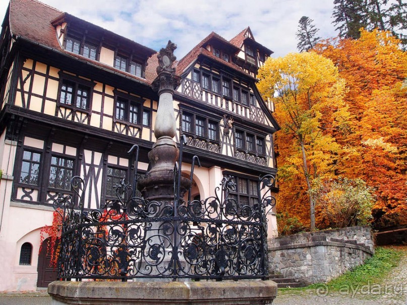 Синая жёлтая, красная, зелёная