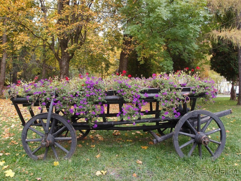 Синая жёлтая, красная, зелёная