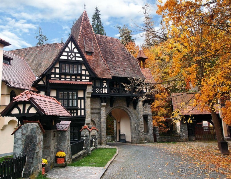 Синая жёлтая, красная, зелёная