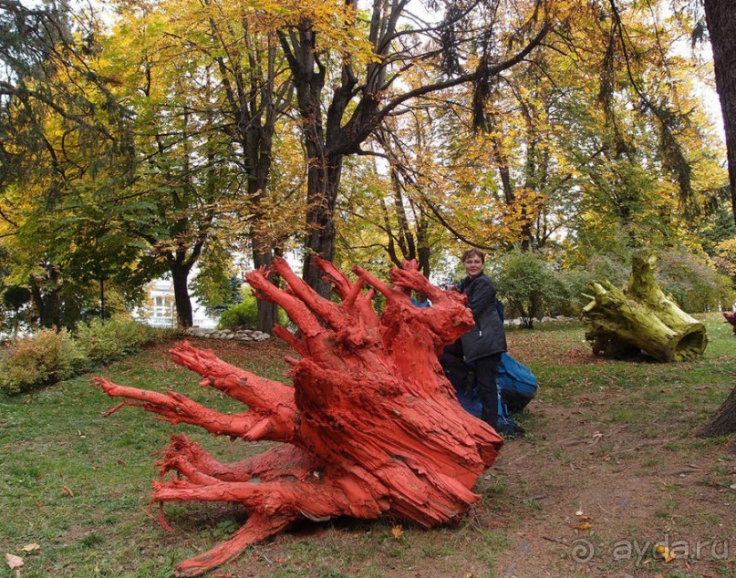 Синая жёлтая, красная, зелёная