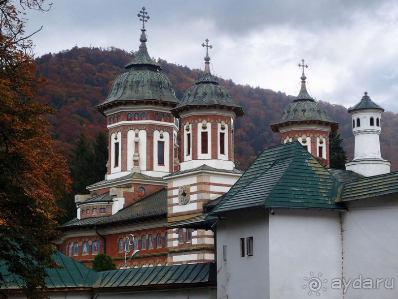 Синая жёлтая, красная, зелёная