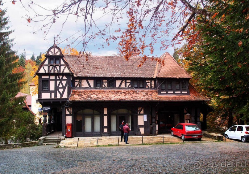 Синая жёлтая, красная, зелёная