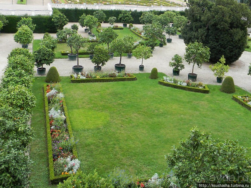 Шенбрунн. Изучая историю по картинкам