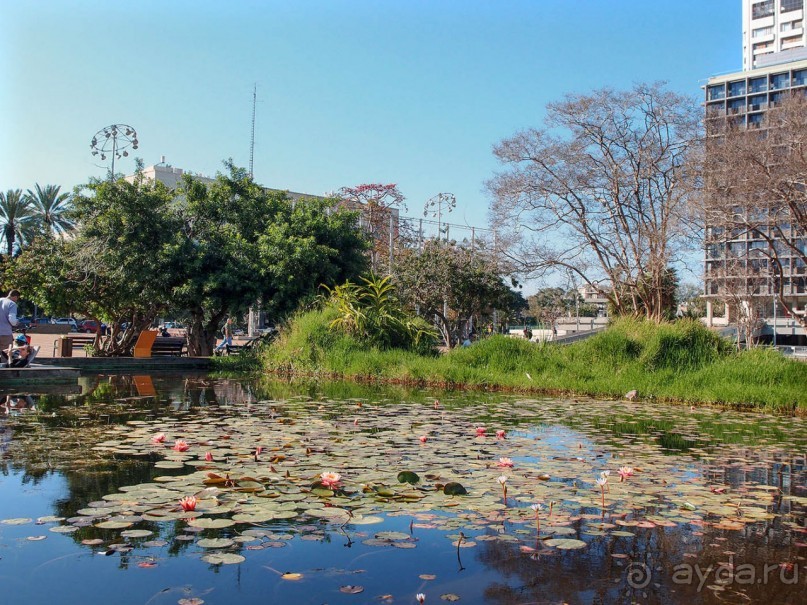 Город и Море