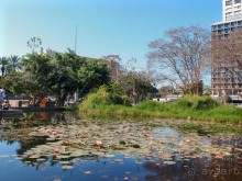 Город и Море